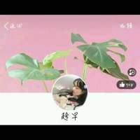 头像+背景+望喜照顾好你那黑色的头发挑剔... 其实我只是一个绝望孤