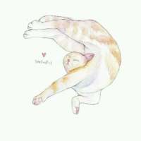 鲜花之所以会插在牛粪