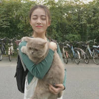 和我在一起 浪够了你别回来了 我