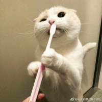 “再喜欢也不要旧情复燃，旧情复燃的结果就... 失望是不可避免的，但