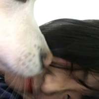 洛 总是说着你的甜言蜜语