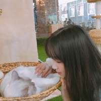 王喜猫 你是我的依赖总是能让