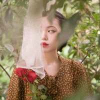 “恋爱会让人变成傻子”。 等到风景看透时，也许