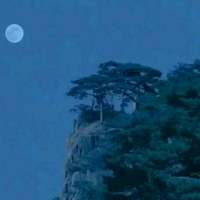 日月同辉 失恋是比死亡还痛苦的