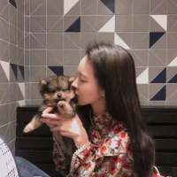 如果   可以我想找回我自己 想忘记你，可是最后却