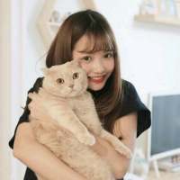 伤口慢慢愈合，再被爱