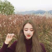 新年快乐. 突然发现现在的季节开