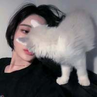 洛 到底是纸短情长还是纸