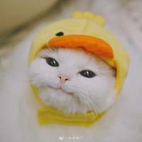 “再喜欢也不要旧情复燃，旧情复燃的结果就... 失望是不可避免的，但