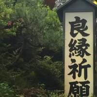 背景图 2.犹如融入你叹息你