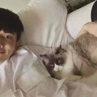 他喜欢猫也喜欢狗就是不喜欢你 值不值得我不懂，可是