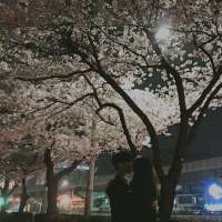 别怕，我在的 感情可