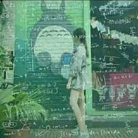 我眼泪崩塌你却笑我矫