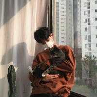 他喜欢猫也喜欢狗就是不喜欢你 值不值得我不懂，可是