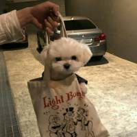 you look better 不要过分信赖别人，即