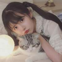 王喜猫