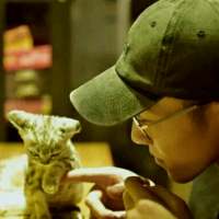 喜欢猫的男孩。 触及不到你的温柔，怎
