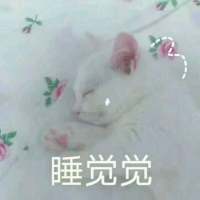 饮酒不过七分醉，念你