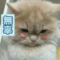别让我听到你又爱上谁 我都快忘了曾经的那个