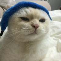 you look better 不要过分信赖别人，即