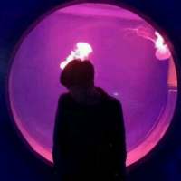 我以后要嫁的是你 你必须给我好起来 天若有情天亦老、动我