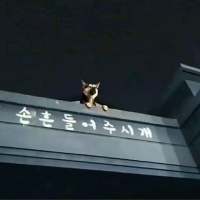 单身至今的原因：熟人