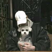 你可知我还在今生等你 云想衣裳，花想容。猪
