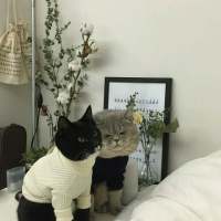 you look better 不要过分信赖别人，即