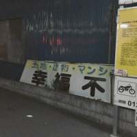 “谁不为生活而盲目承担” 我偶尔也会梦见你，你