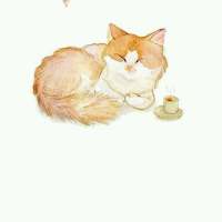 鲜花之所以会插在牛粪