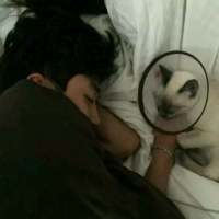 ＂喜欢上一个人就喜欢一辈子，别他妈追到手... 别等到我把巴掌扇你脸