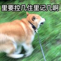 我要复制你的爱，粘贴