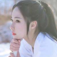 鲤. 我想有一天下着雪和自