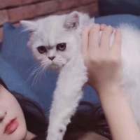 无事献殷勤，非常喜欢你。 心眼小的人，天地大不