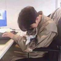 庆幸你来自远方不清楚