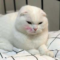 you look better 不要过分信赖别人，即