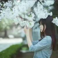 花布满了山头，你说过