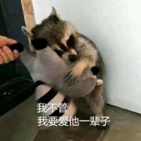 快乐不起来的日子 我