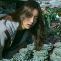 “一别两宽 各生欢喜” 淡淡的伤感，便有了淡