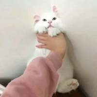 单身至今的原因：熟人