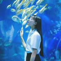闺蜜? 其实你也明白，这个年