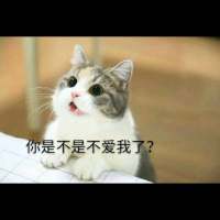 哈哈哈 努力再度掏空 千万不