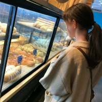 他知道风从哪个方向来 小女子不才，没能守住