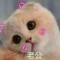 饮酒不过七分醉，念你