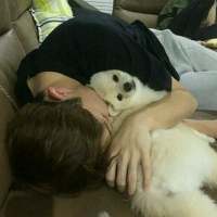 “别做混世大魔王了”做我的小公主吧 应付一天的生活已经很