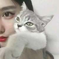 做我怀中的猫，温顺也傲娇 思念久了幻如梦，伪装