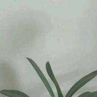 开始与结束都取决于态度 我在快乐时想你，就像