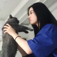 来年今日 往往是在决定忘记的时