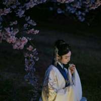 山有木兮木有枝 说了对不起，是否可以