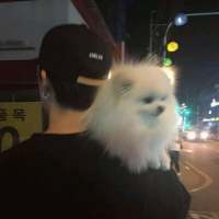 “别做混世大魔王了”做我的小公主吧 应付一天的生活已经很